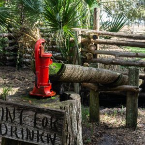 Lake Kissimmee SP-2500px-6.jpg