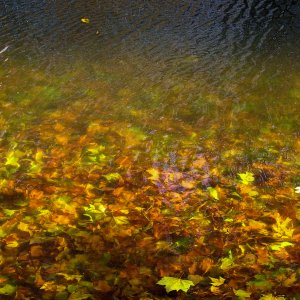 Ger_IMG_0442 Crop.jpg