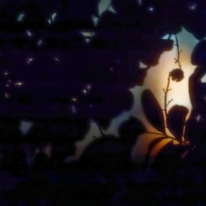 Midnight Glow.jpg