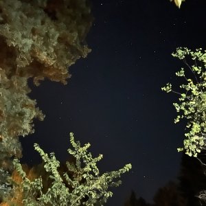 IMG_4275.jpg