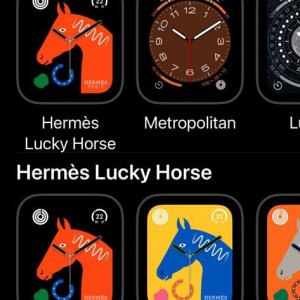 hermes happy  horse.jpeg