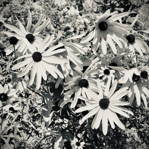49CE69B3-A4AD-41F0-9146-6BC6F809CEA0.jpeg