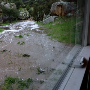 flood at house edge x.jpg