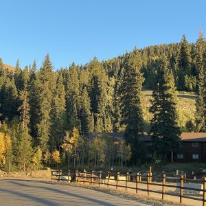 IMG_4829 2.JPG