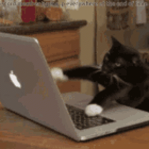 7EFD7E9D-4FBB-4E80-9C6F-F7E2D2A173C3.gif