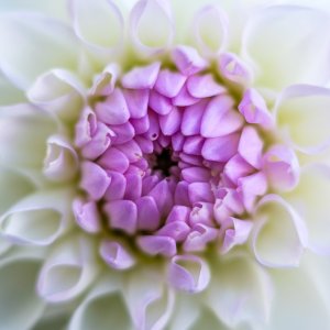 107DE8BF-286A-44D2-9D97-06C0C4C54A07.jpeg