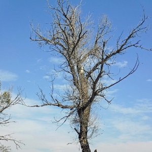 22F_507.jpg