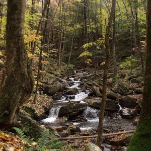 PA161916.JPG