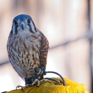 1EC09756-A528-4AAF-99FC-2DF023B98C32.jpeg