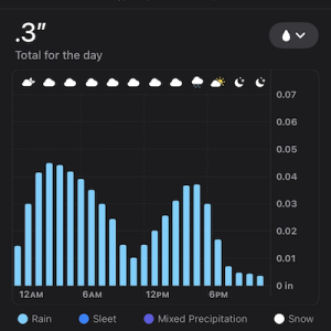 precip.png