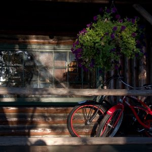 Whidbey_IMG_2237.jpg