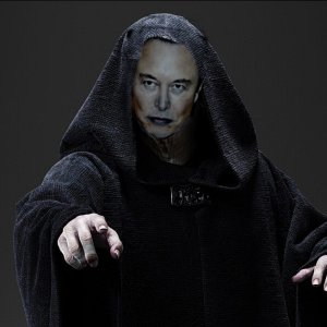 elon palp.jpg