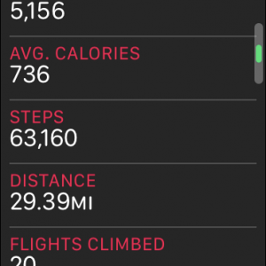 steps.png
