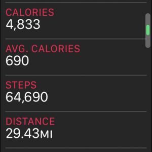 steps.PNG