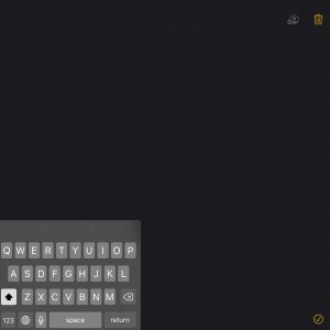 IMG_500BFC4D0217-1.jpeg