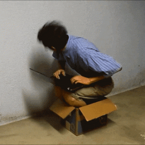 Office.gif