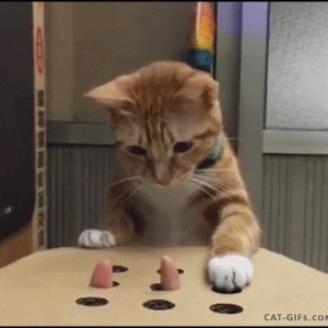 1663608493592.gif