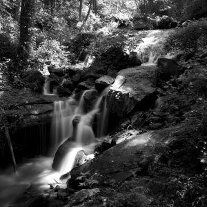 _D3X0012 - Version 2 copy.jpg