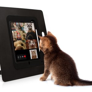sketchboard-pro-standing-pets-video-call.jpg