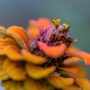 F9E639F6-AB25-4563-B26F-4C42761A546B.jpeg