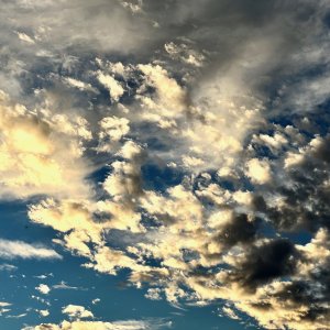 IMG_9087.jpeg