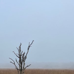 IMG_1138.jpeg