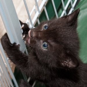 Pet_IMG_3923.jpg