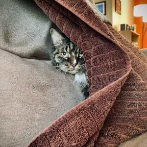 378848EC-3937-46A0-BD9E-3810E4345072.jpeg