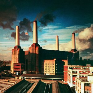 Animals-Cover-1050677106.jpg