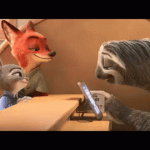 sloth-typing-zootopia.gif