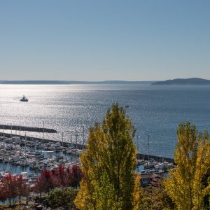 Seattle_IMG_1470.jpg