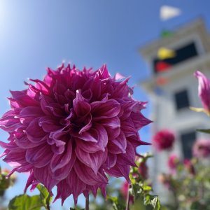 IMG_4939.jpg