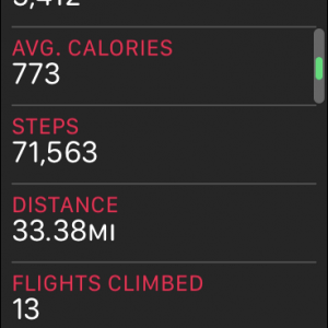 steps.PNG