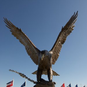 _7004367.jpg