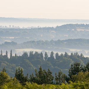 img_1130514.jpg