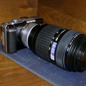 oly epl1 with 75 - 300 4 thirds lens and micro adapter x.jpg
