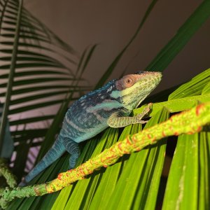 IMG_6488.jpeg