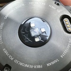 1456990.jpg-320x240.jpg