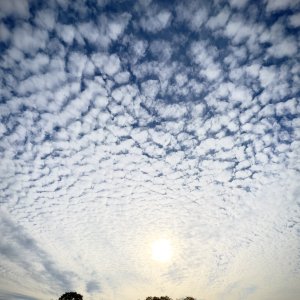46178087-FAFD-4A28-AF71-DADE1BF7F2BB.jpeg