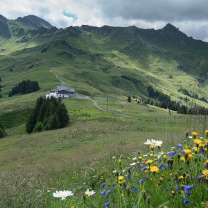 Champery - 2000px-49 - Copy.jpg