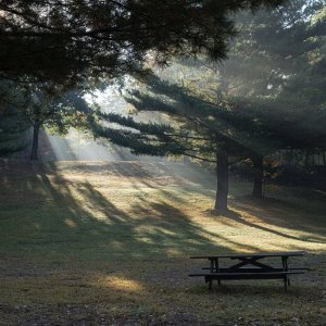Picnic table light-2500px.jpg