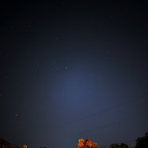 263929FE-A13E-4FF5-99F6-39C88B0A49C2.jpeg