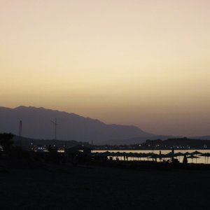 F8704287-E04E-4505-8CA8-0D9A29032529.jpeg