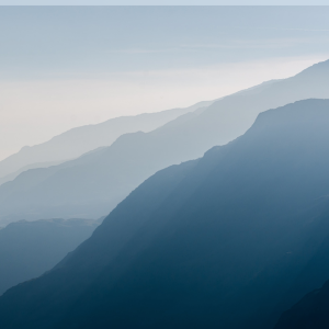 Screen Shot 2022-10-18 at 11.56.01 AM.png