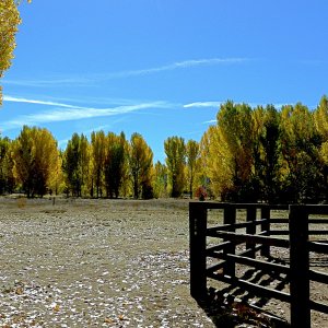 fall at pv ranch 4 x copy crop2.jpg