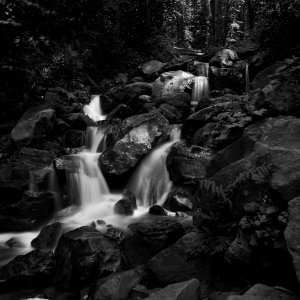 _D3X0010 - Version 2 copy.jpg