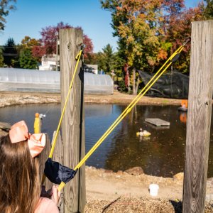 Pumpkintown - 2500px-39.jpg