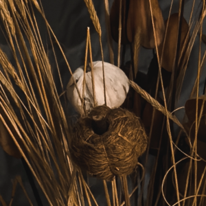CBF7E1BE-687E-4990-A0E6-CA4CC6F7E34D.png