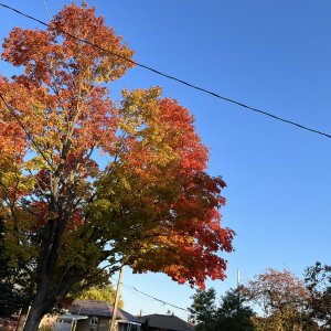 1721E05F-CE6E-4C09-BC24-7F44A5241342.jpeg
