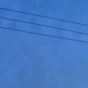 tempImageLWVpxQ.png